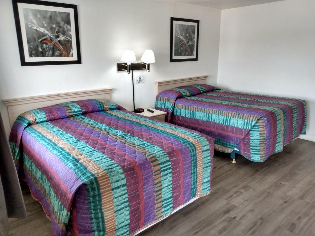 Eldorado Motel New Castle Extérieur photo