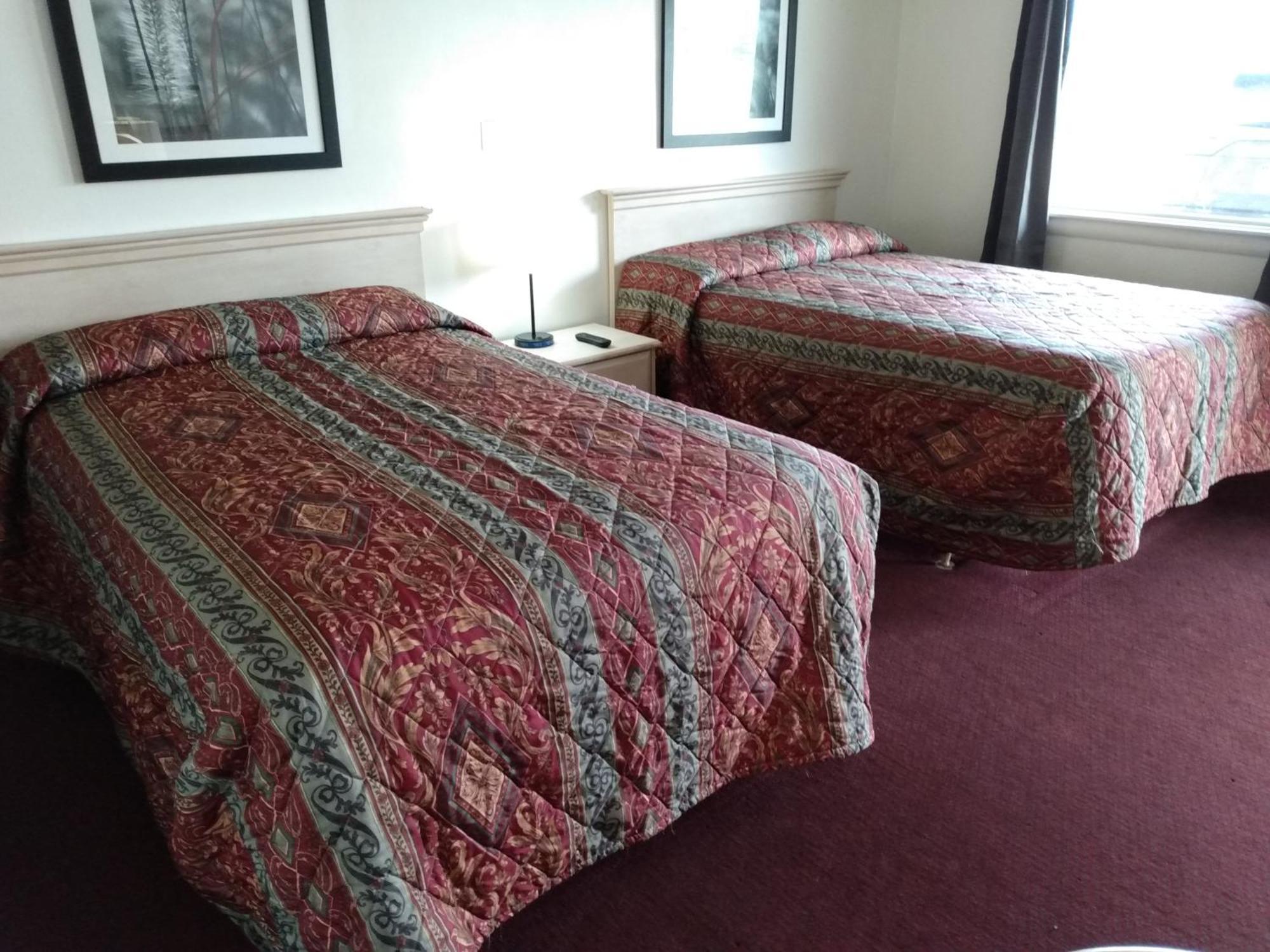 Eldorado Motel New Castle Extérieur photo